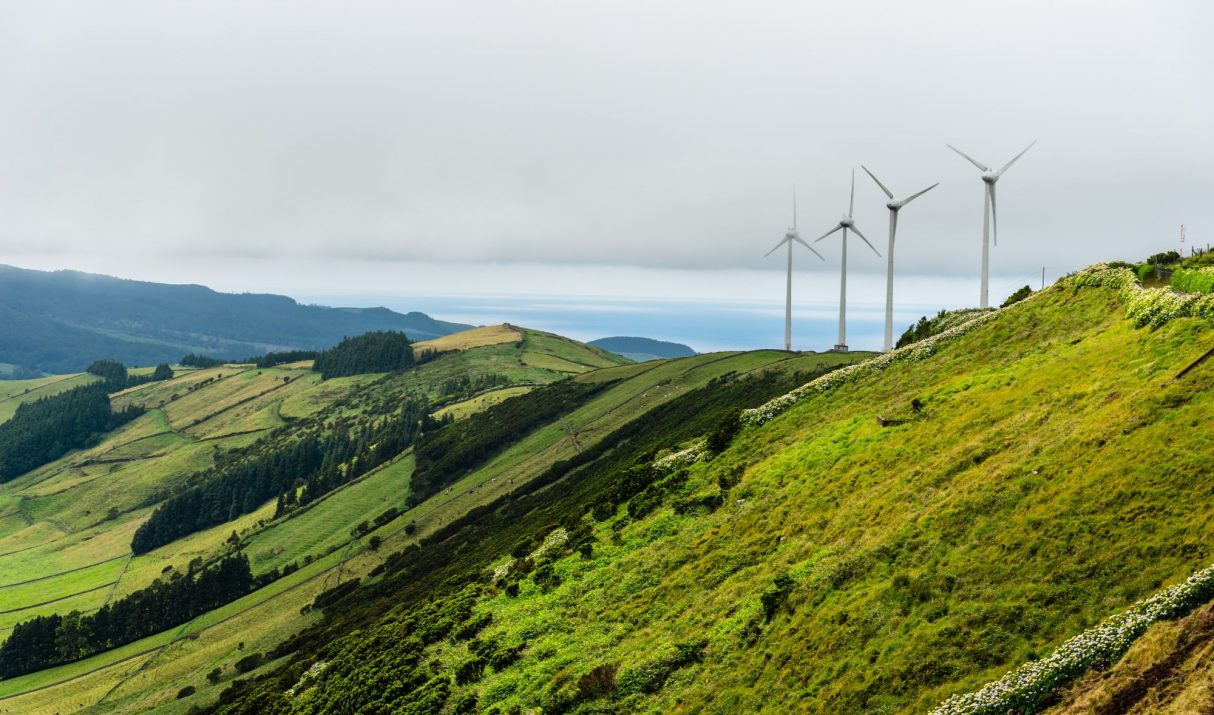 Exploring Bioenergy: A Cleaner Way to Power the Future